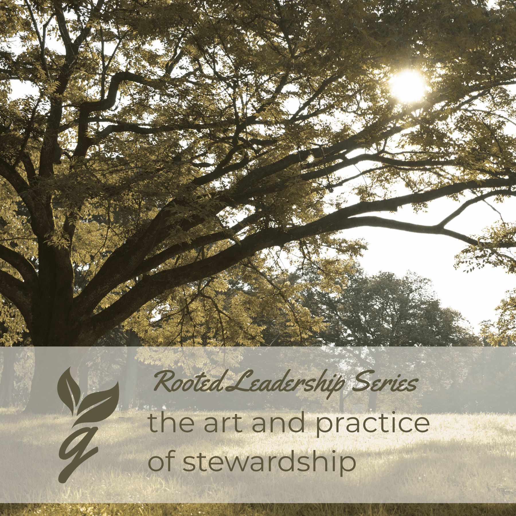 The Art and Practice of Stewardship - Group Class