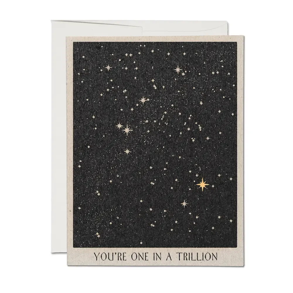 trillion card.webp (Copy) (Copy) (Copy) (Copy)