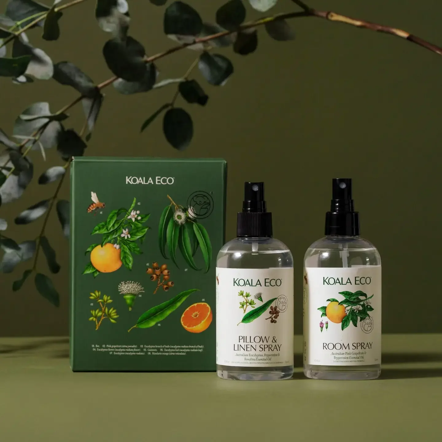 eco duo 1.webp