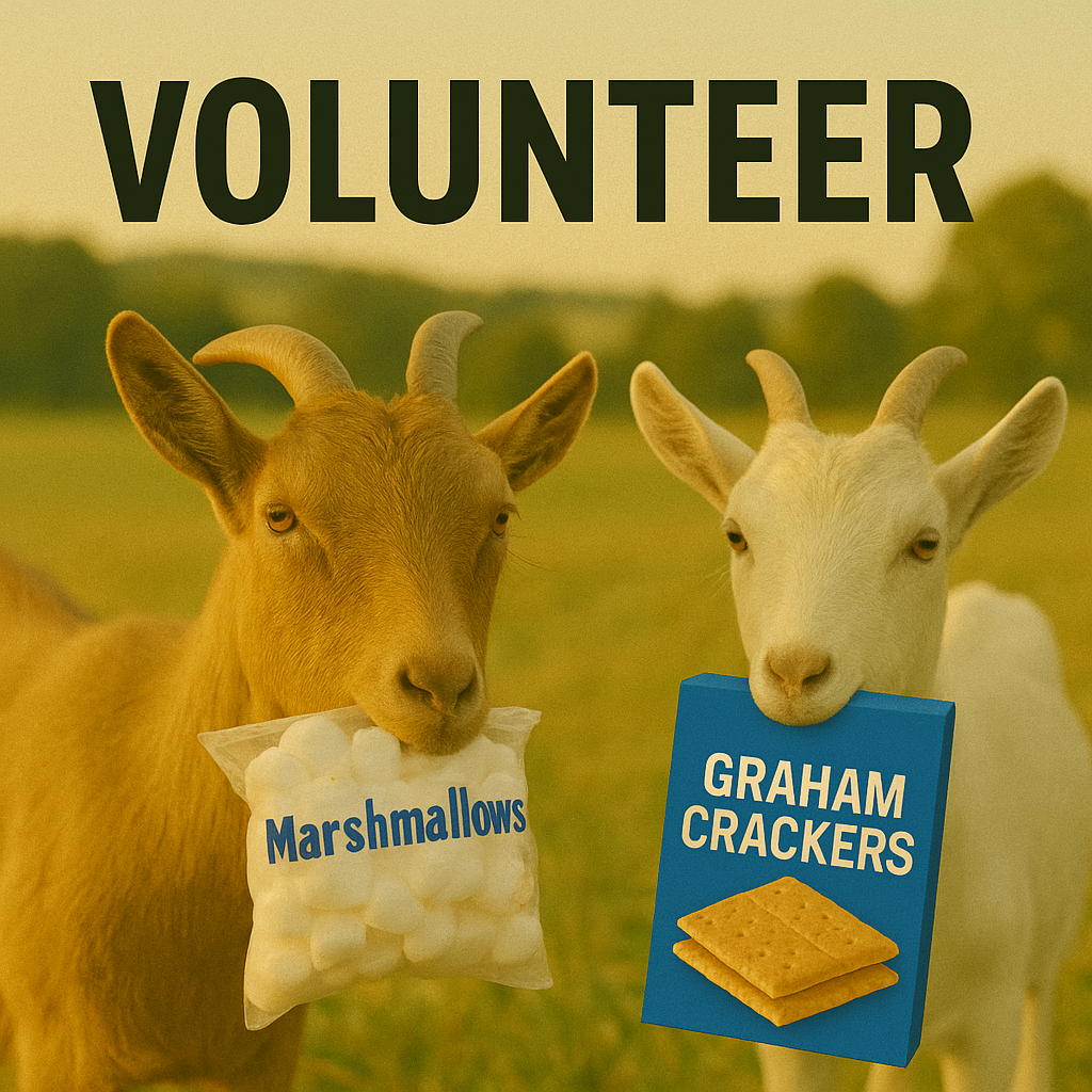~Volunteer~ Stories & Goats