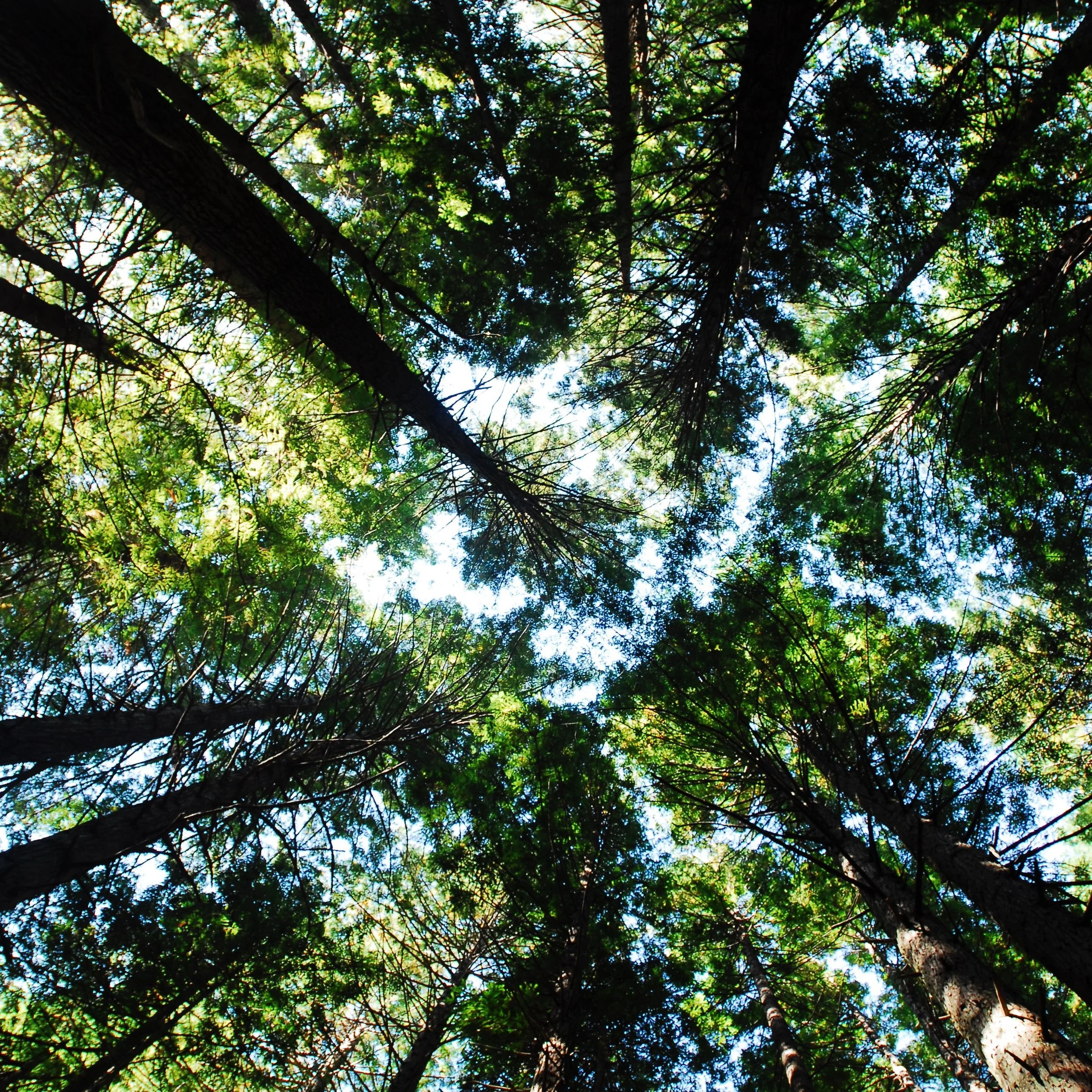 Art as a Different Way of Thinking