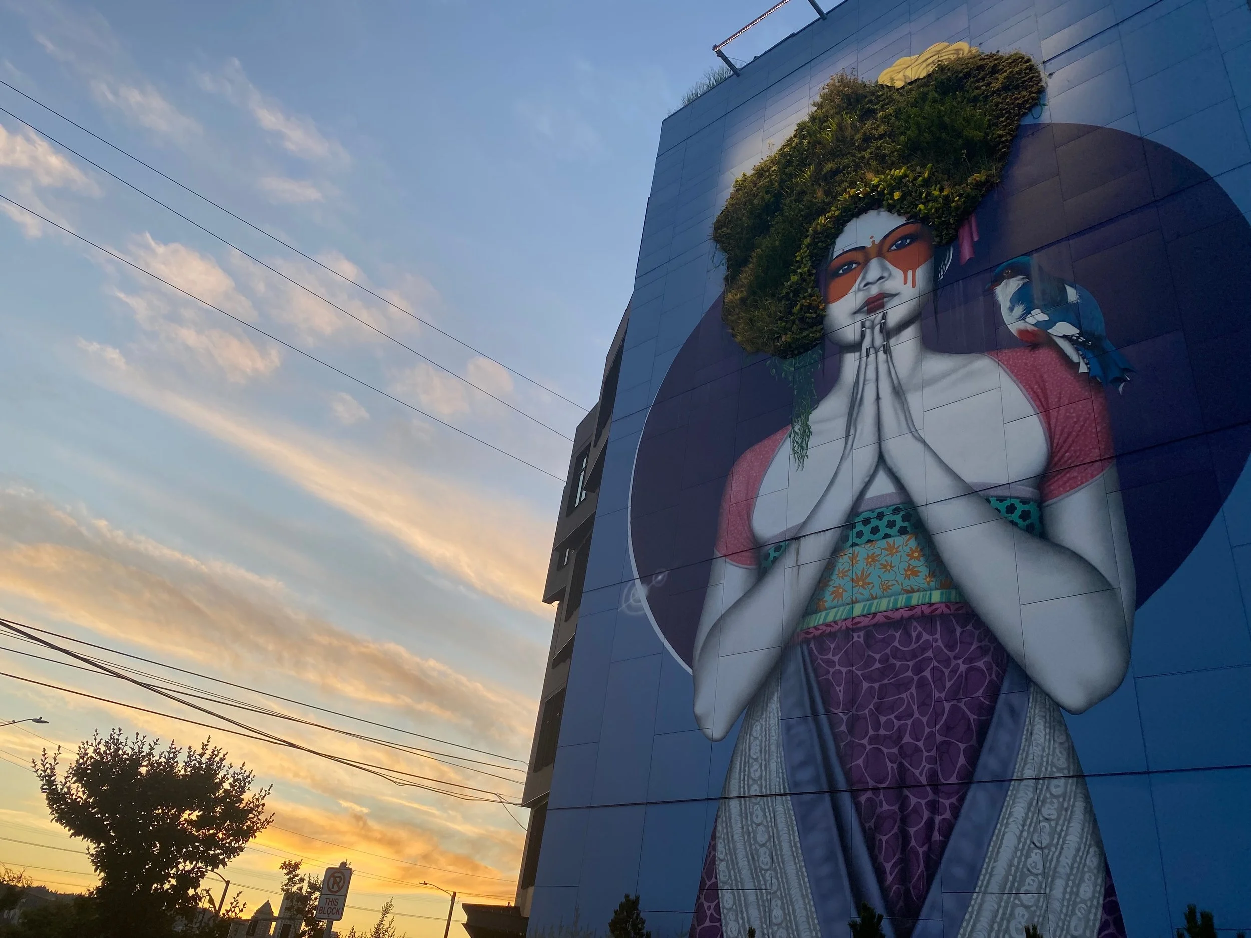 IMG_4941.jpeg (Copy)