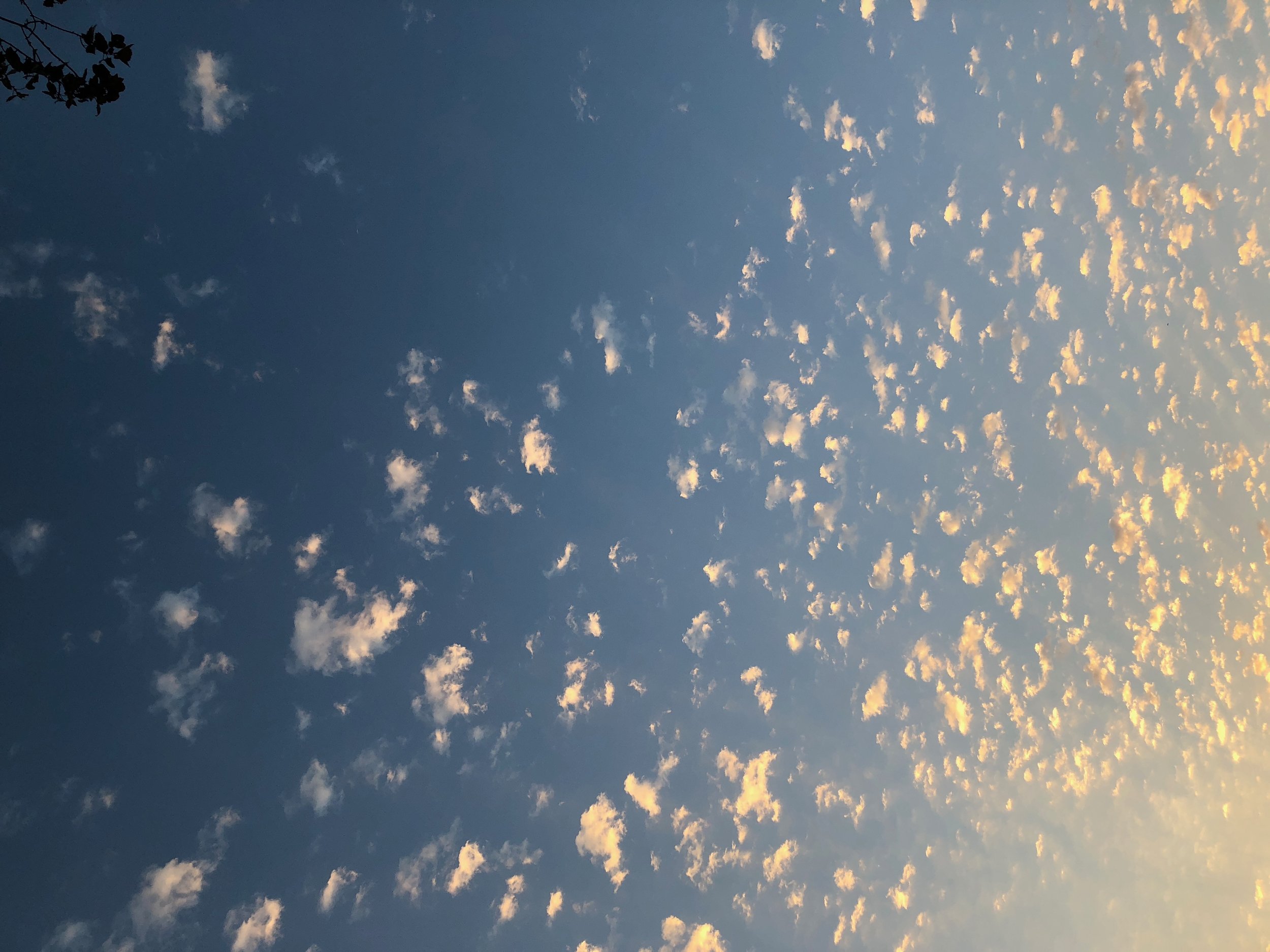 france - 1 (10).jpeg