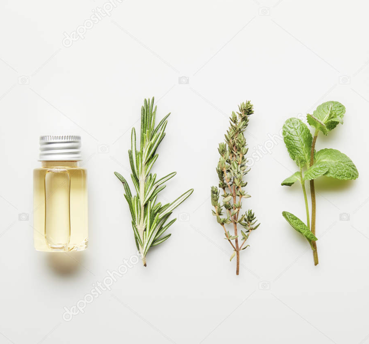 A small bottle of herbal essential oil surrounded by sprigs of rosemary, thyme, mint, and oregano on a white background.