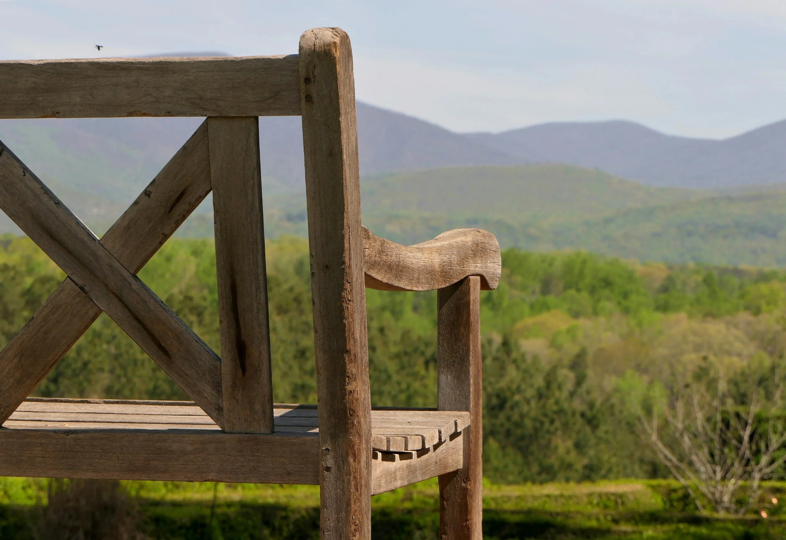 Close-up of a rustic wooden chair with a backdrop of green trees and mountains under a partly cloudy sky.