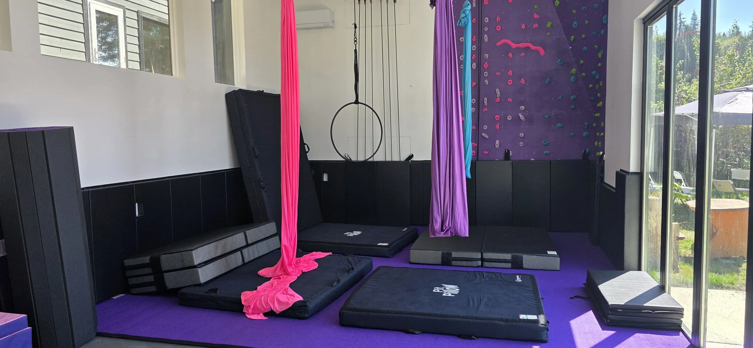 Indoor gym with purple flooring, climbing wall, pink and purple aerial silks, gymnastic mats, a black padded bench, and large windows showing outdoor greenery.