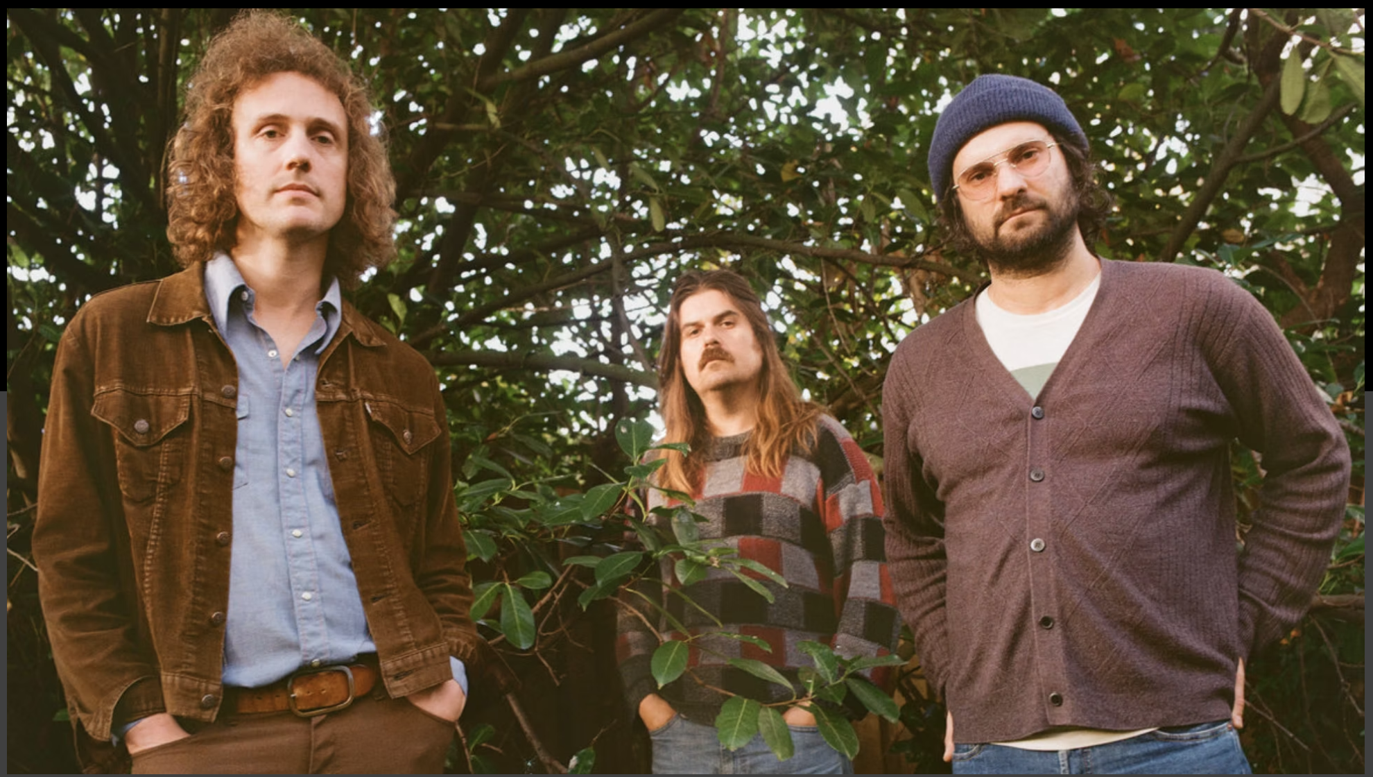 Triptides