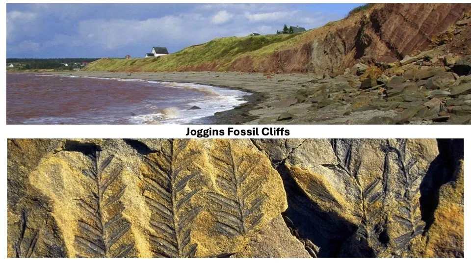 Bay of Fundy 3.jpg