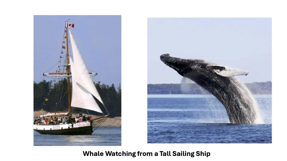 Bay of Fundy 2.jpg