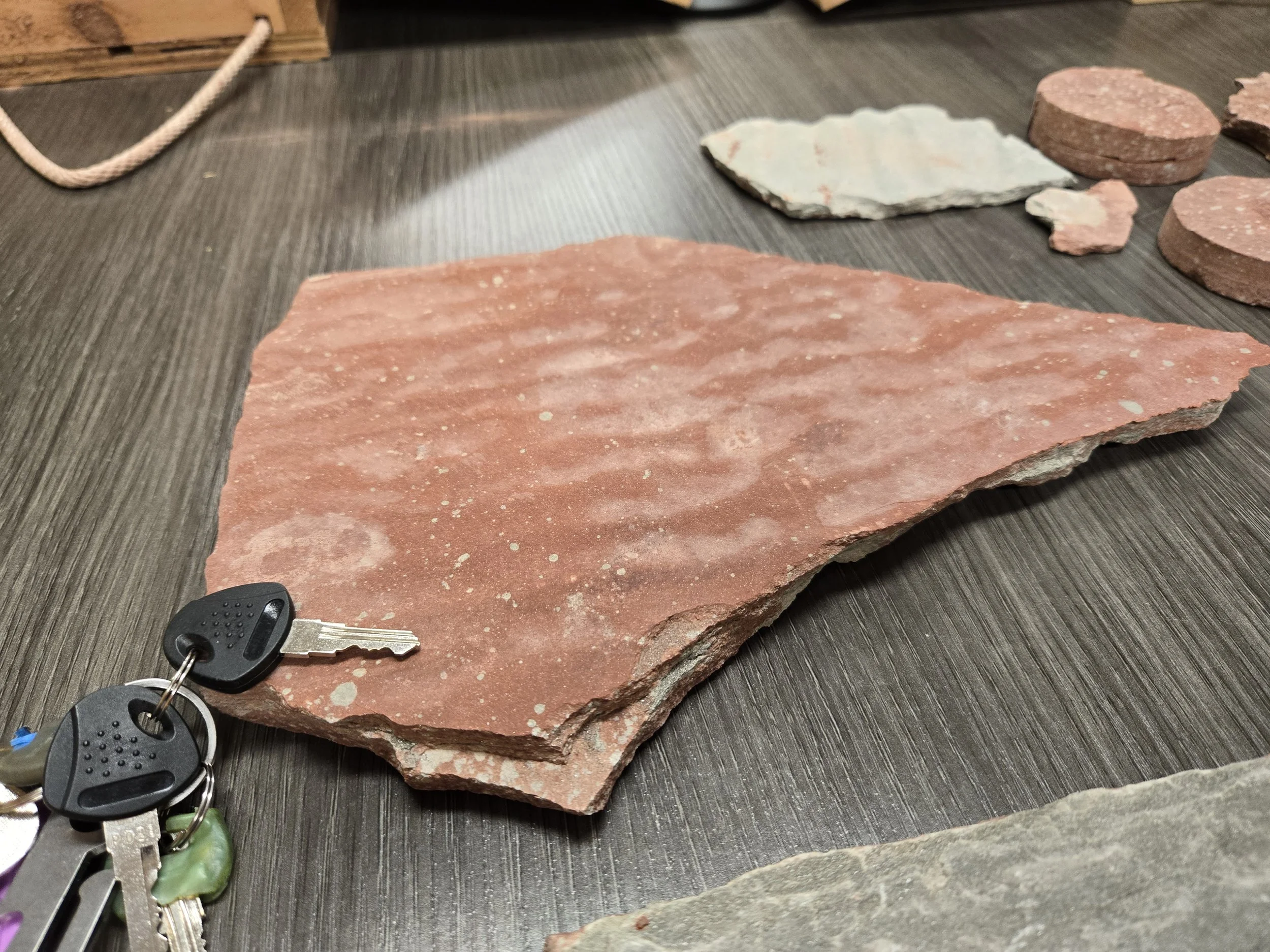 Sample of Sandstone Bedrock from New Lock with Ripple Marks.jpg