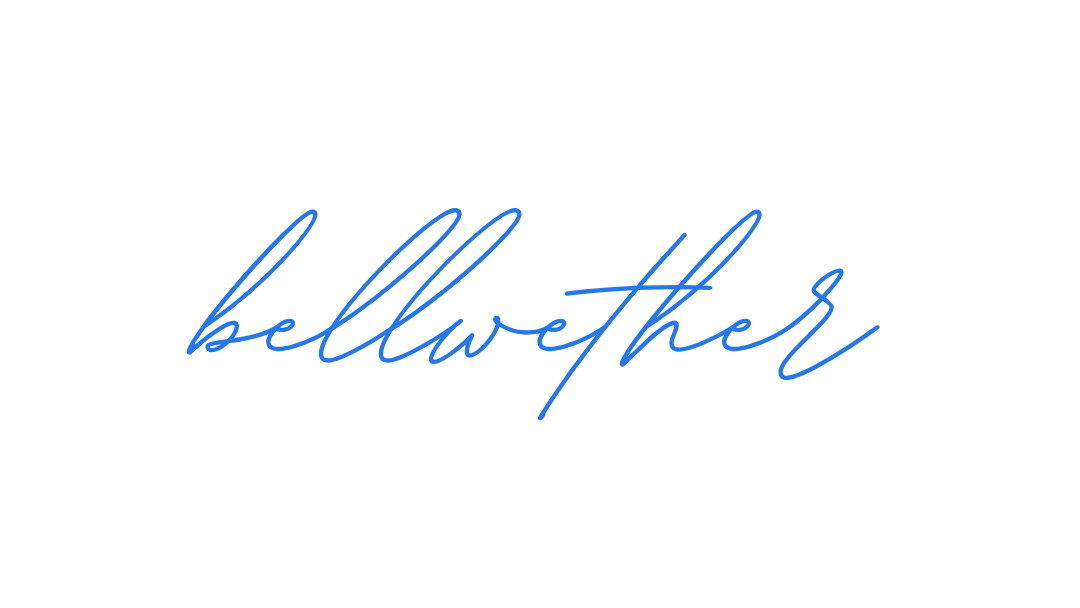 A logo with a black icon of a hand holding a baby, accompanied by the words "mother" in black and "believer" in blue, written in a cursive font.