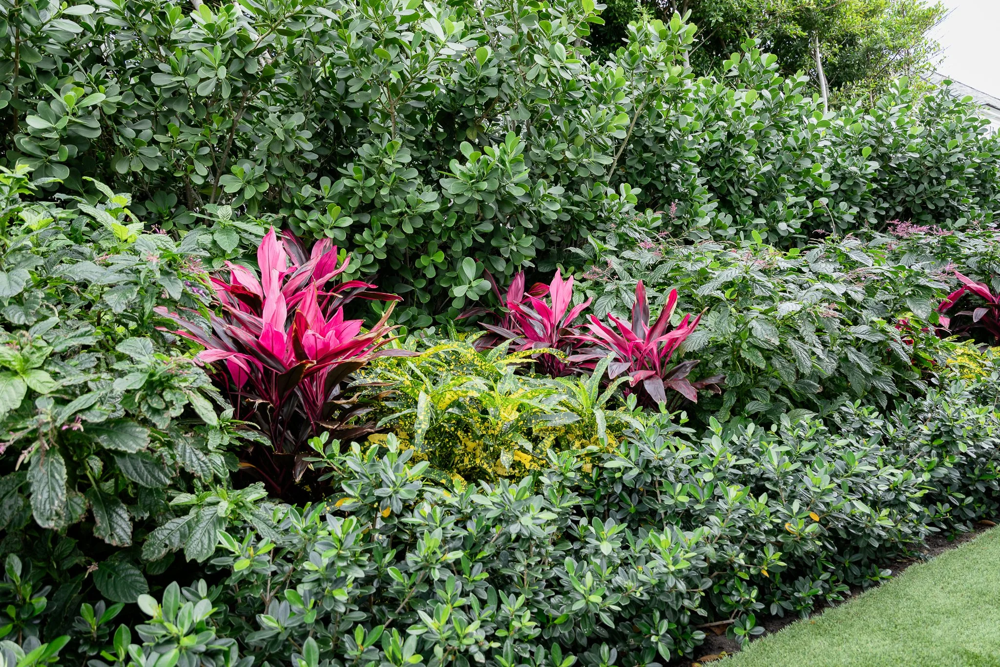 Garden4.jpg