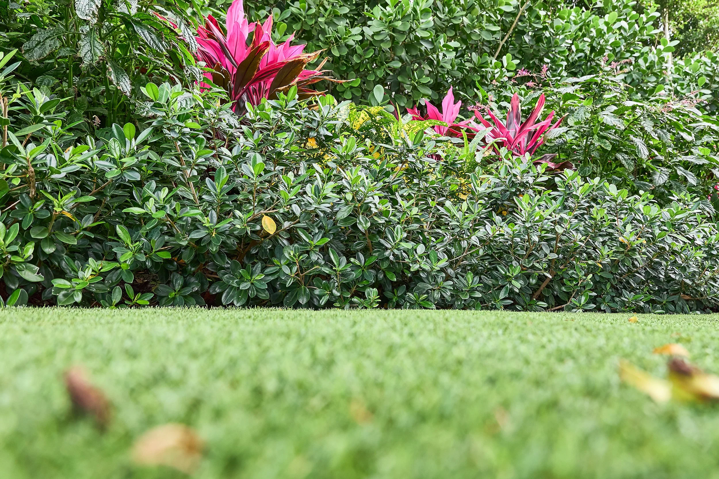 SouthOceanGarden3.jpg