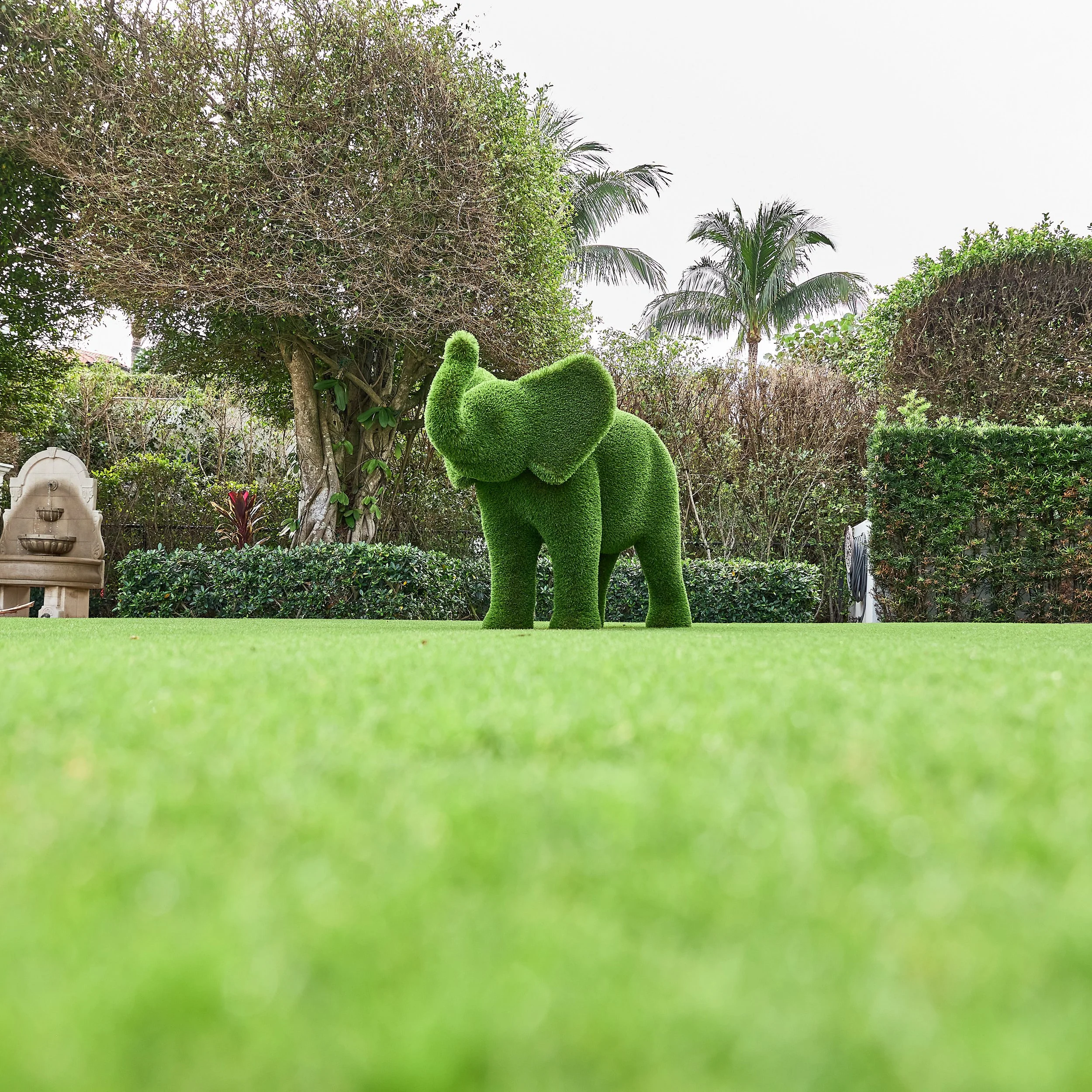 SouthOceanGardenElephant.jpg