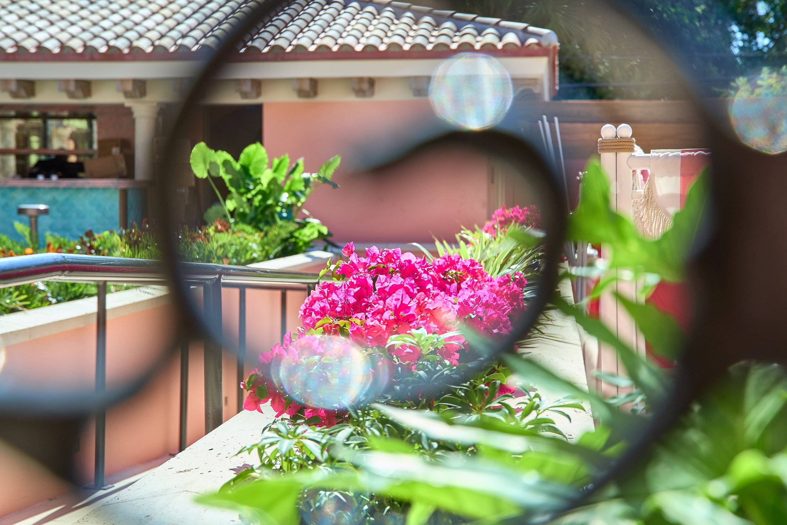 Colorful pink and green flowering plants on a balcony or patio with a building and trees in the background, seen through a decorative metal railing.