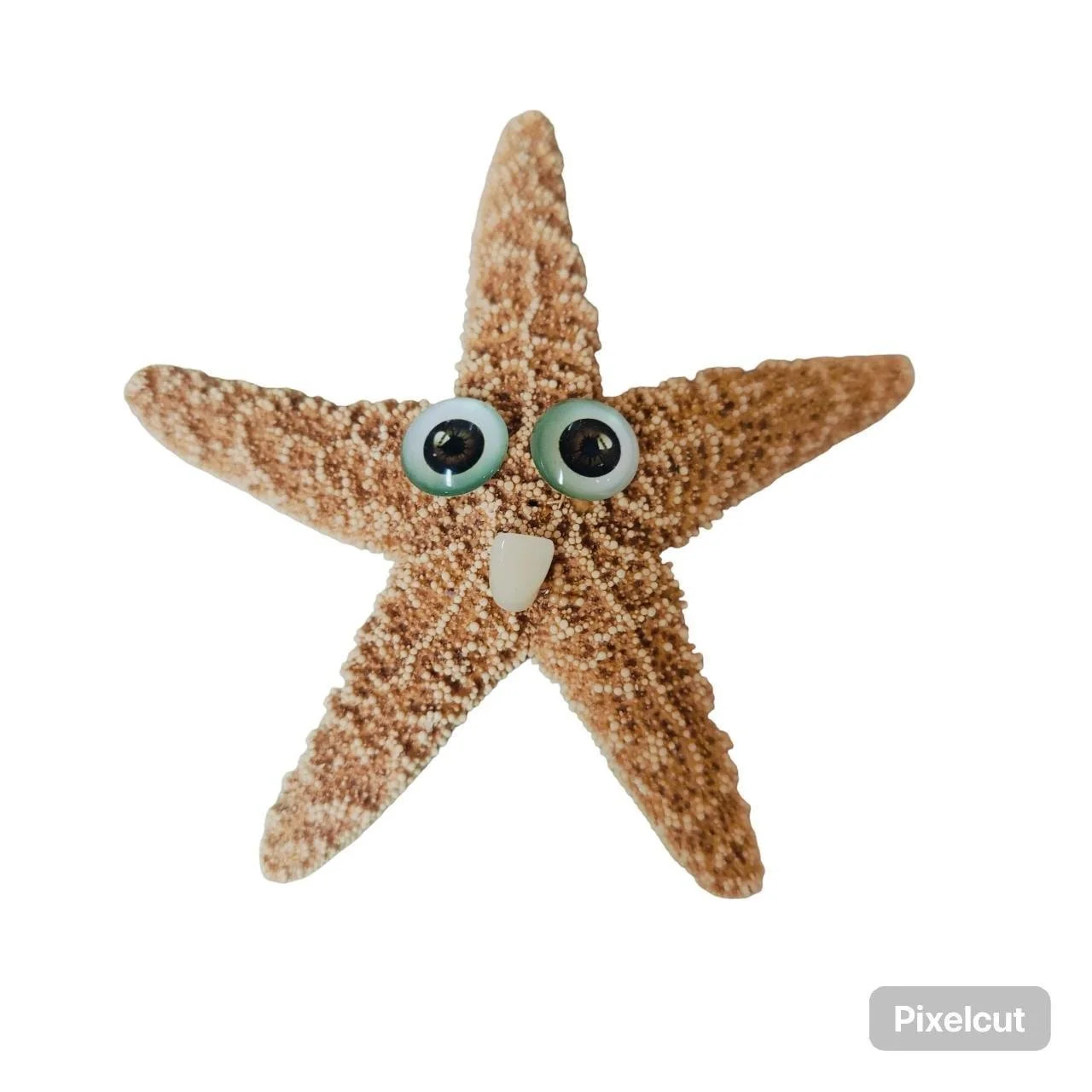 Starfish 3.jpg
