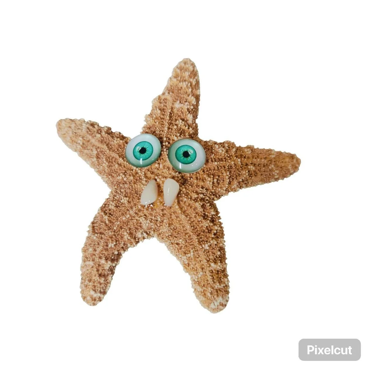 Starfish 5.jpg