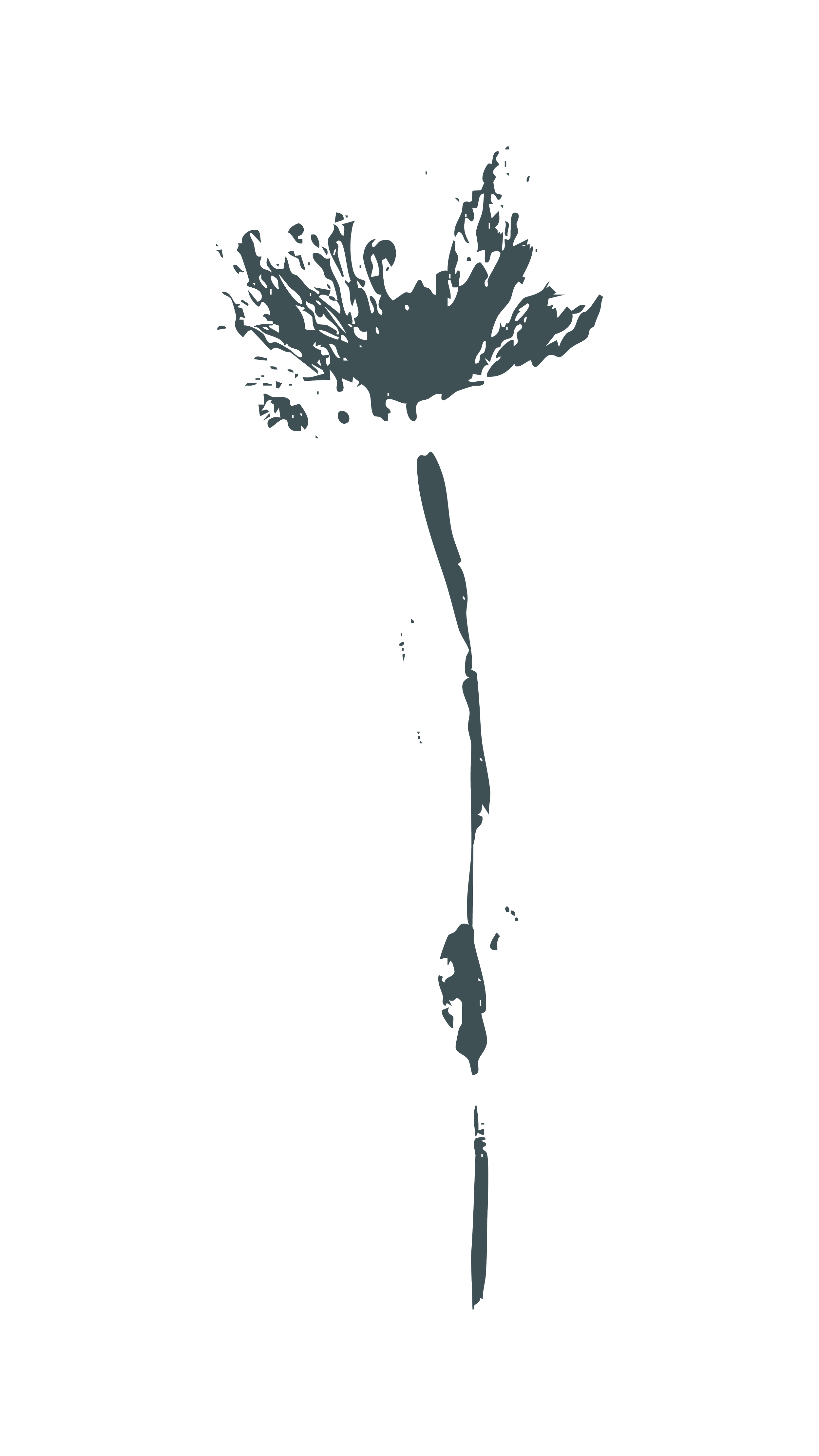 Silhouette of a single flower, possibly a carnation or similar, with a long stem and a detailed, ruffled bloom.