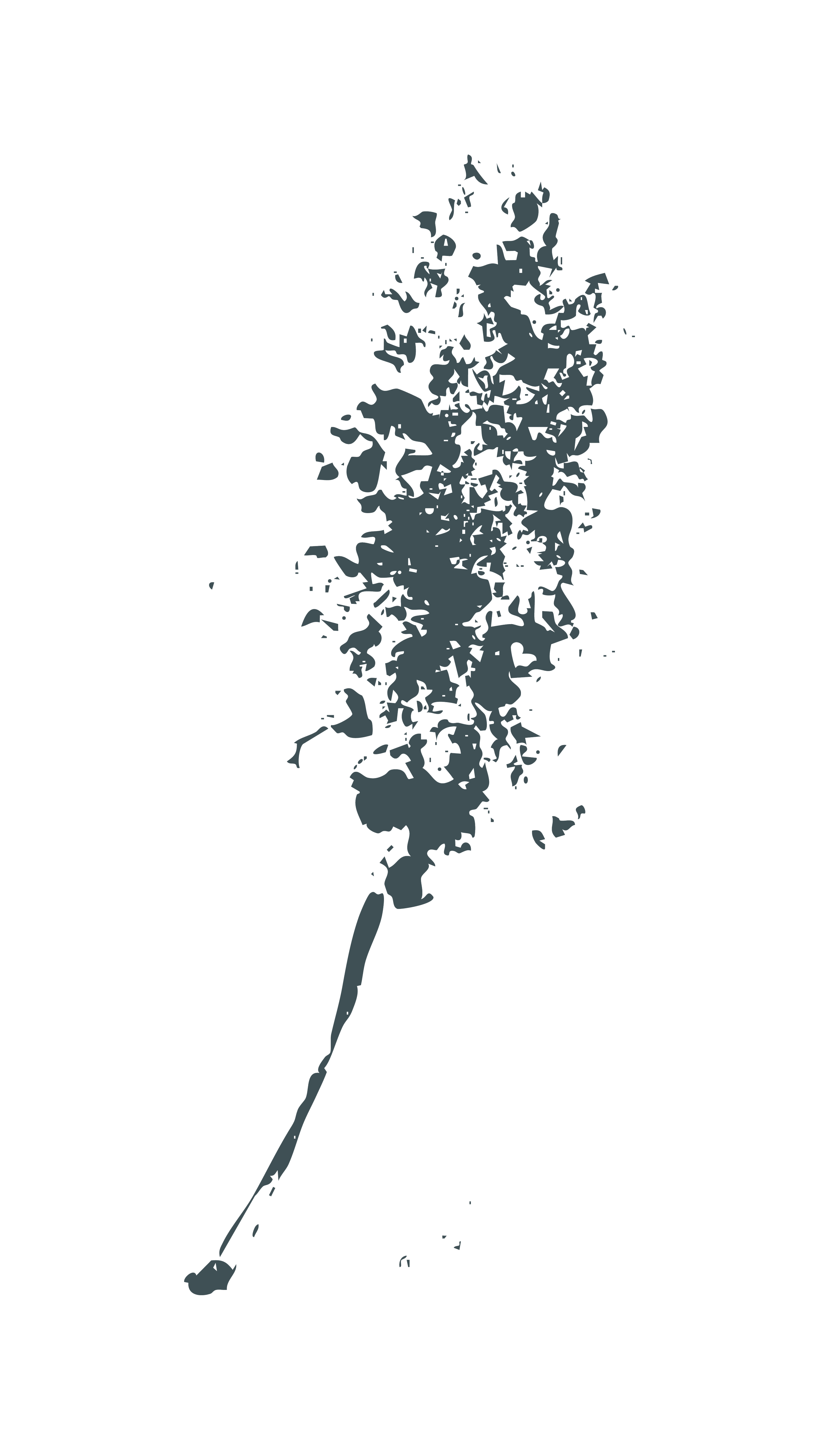 Silhouette of a feather with detailed barbs, viewed from the side against a black background.