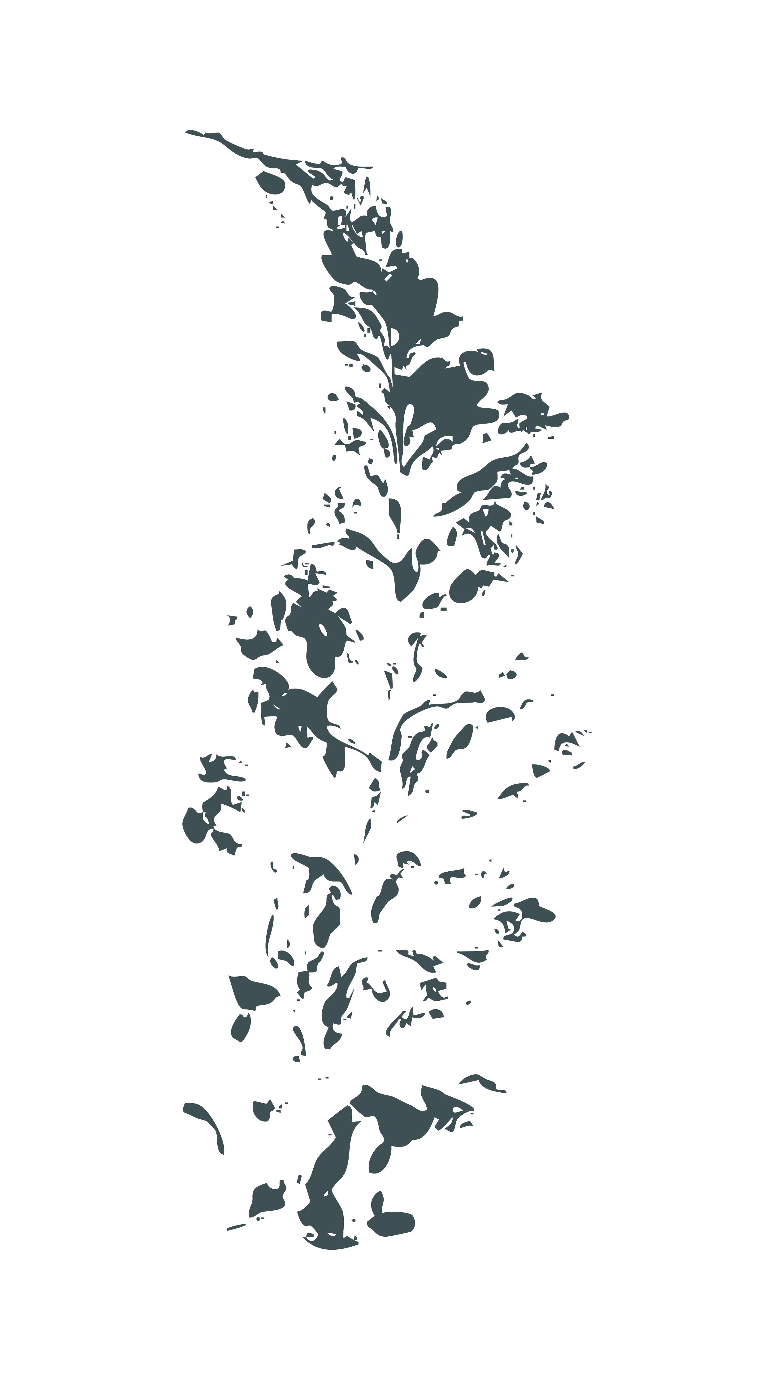 Outline illustration of a tall, leafy plant with multiple branches and leaves, depicted in dark gray on a black background.