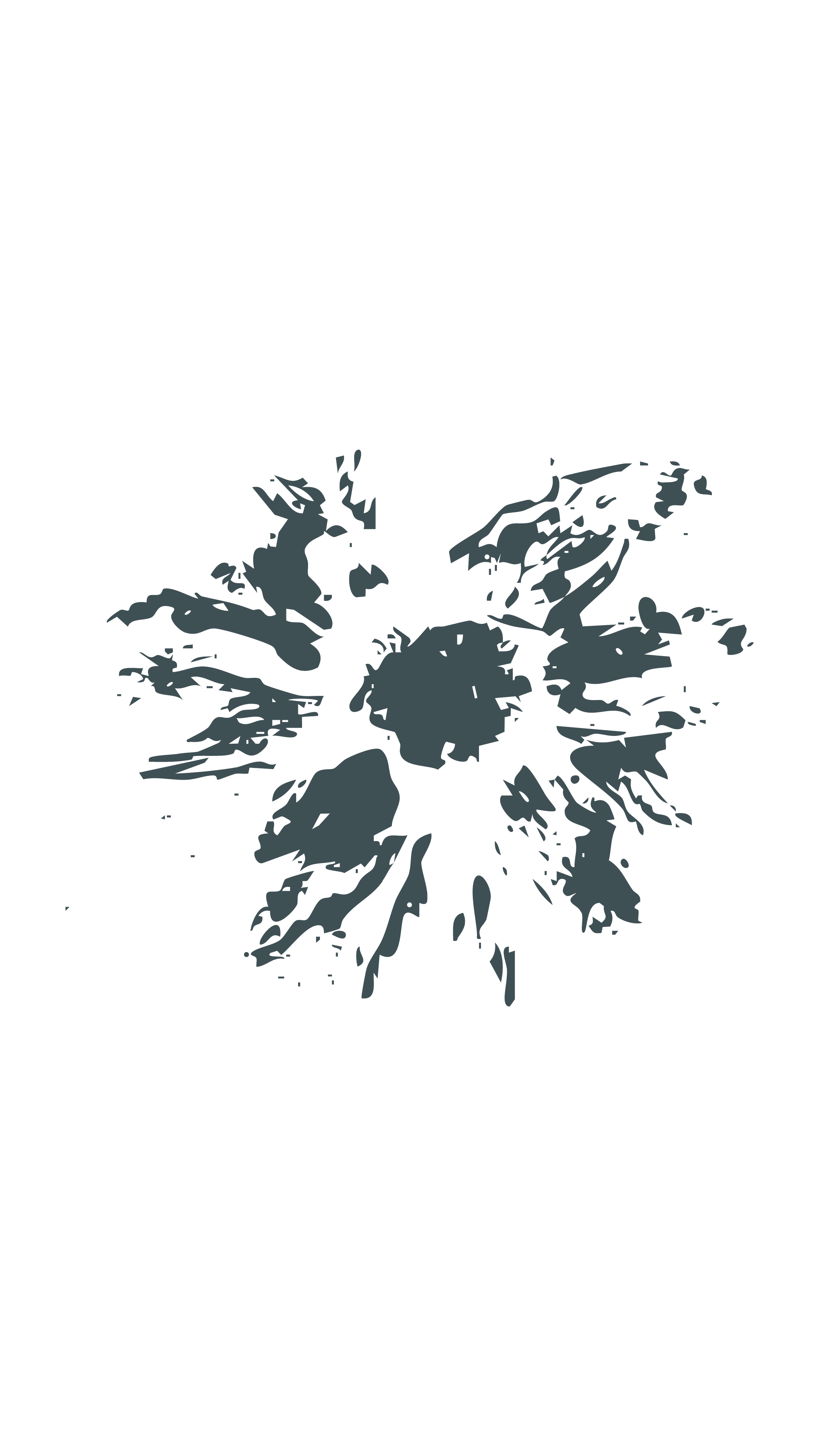 Black background with a silver ink splatter resembling a butterfly or explosion.