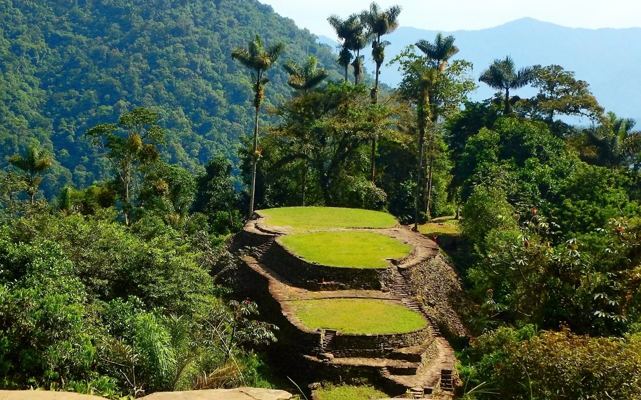 Restos arqueológicos en medio de una selva con árboles altos.