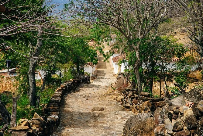 Camino de piedra en una calle rural rodeada de árboles y casas.