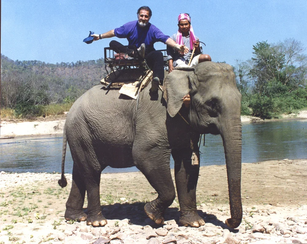 76-Bears-Thailand-1993.jpg.webp