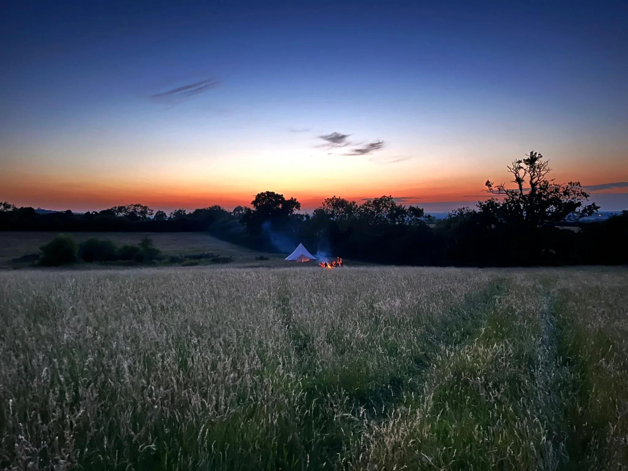 1c837d40-f934-4d62-bada-6166396c5f1b 5.JPG