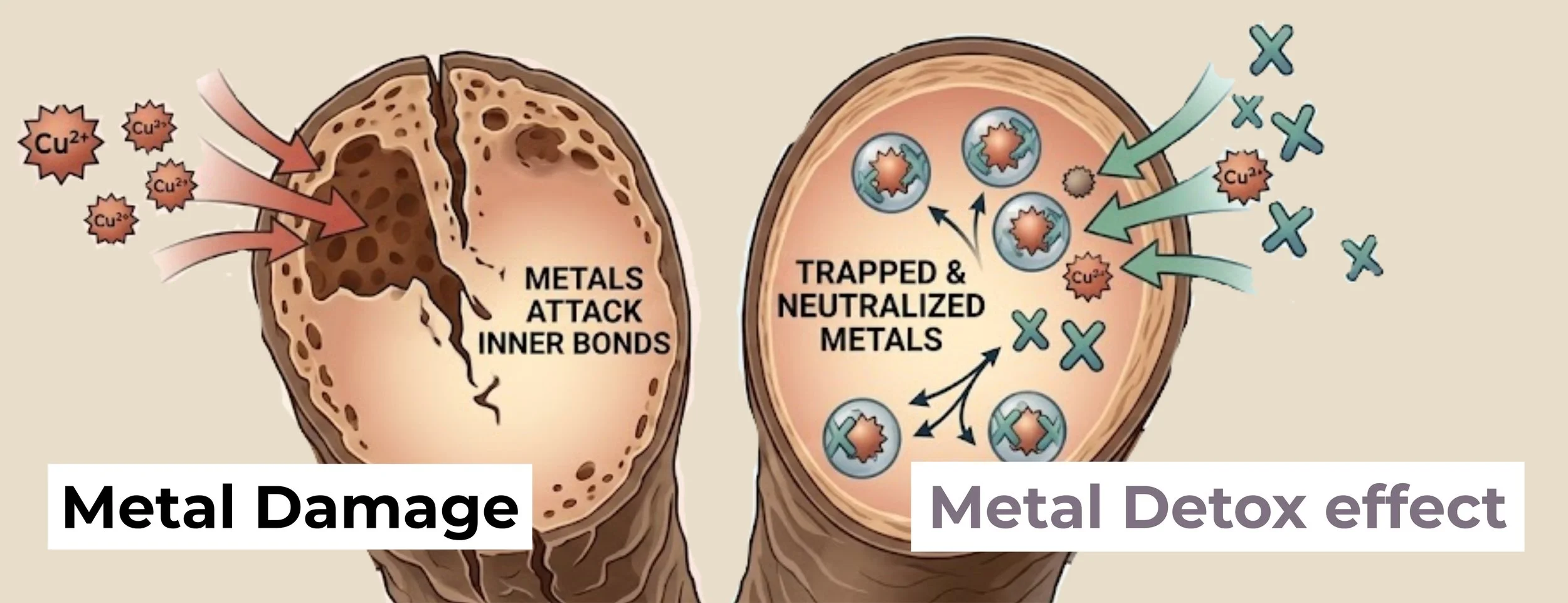 Protecting Hair Health with Metal Detox
