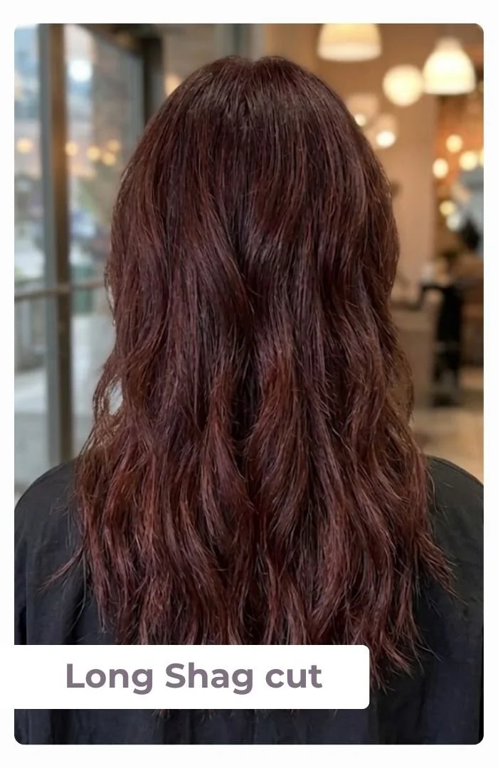 Long Shag cut