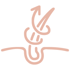 Line drawing of a fireman's hook and a coil of hose.