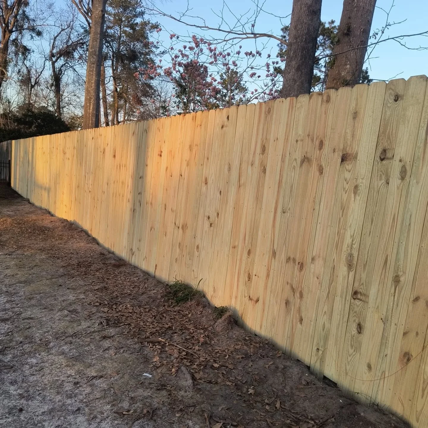 New wooden privacy fence along a dirt and leaf-covered ground, with trees and blue sky in the background.
