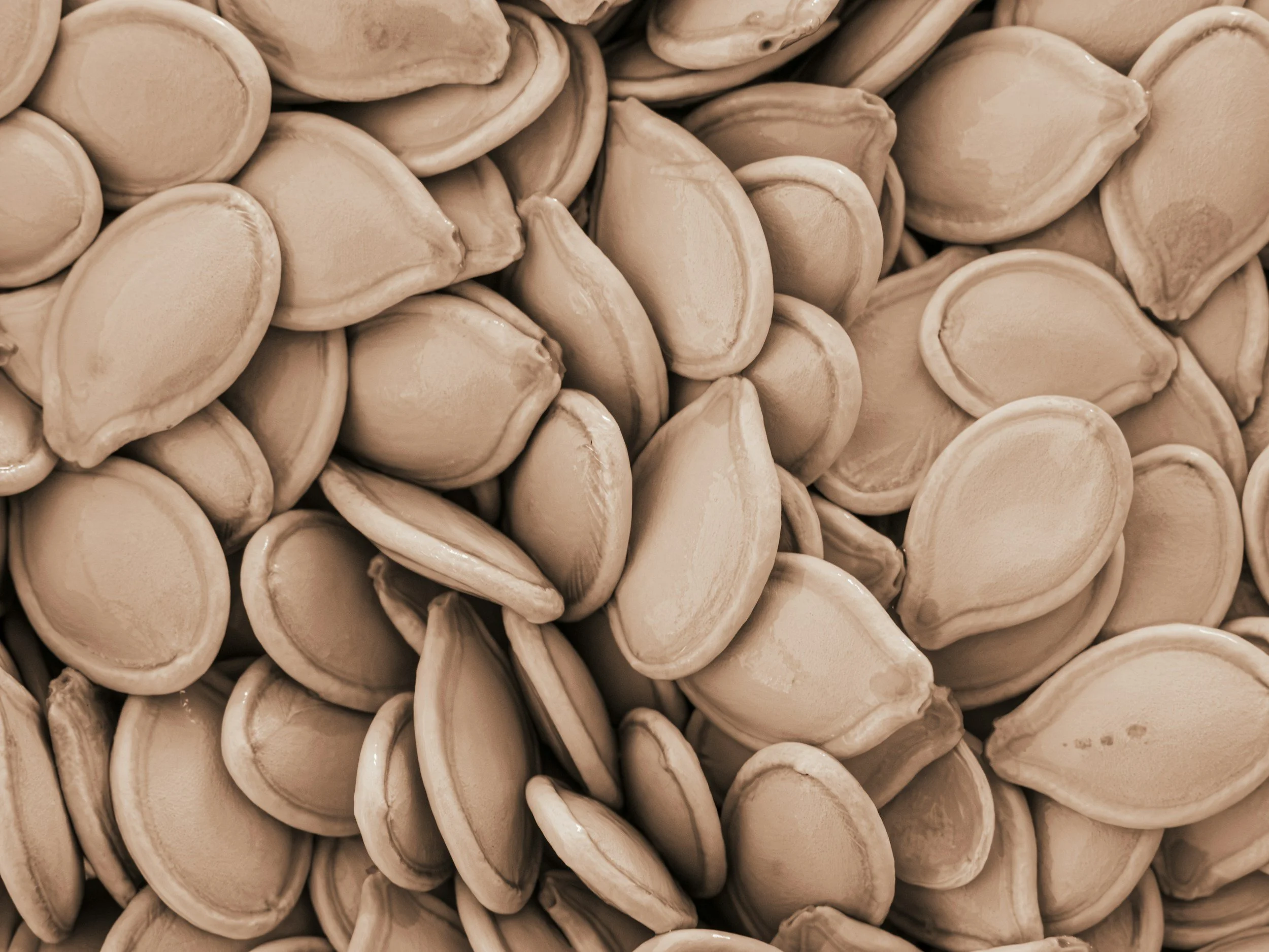 Close-up of pale beige pumpkin seeds piled together.