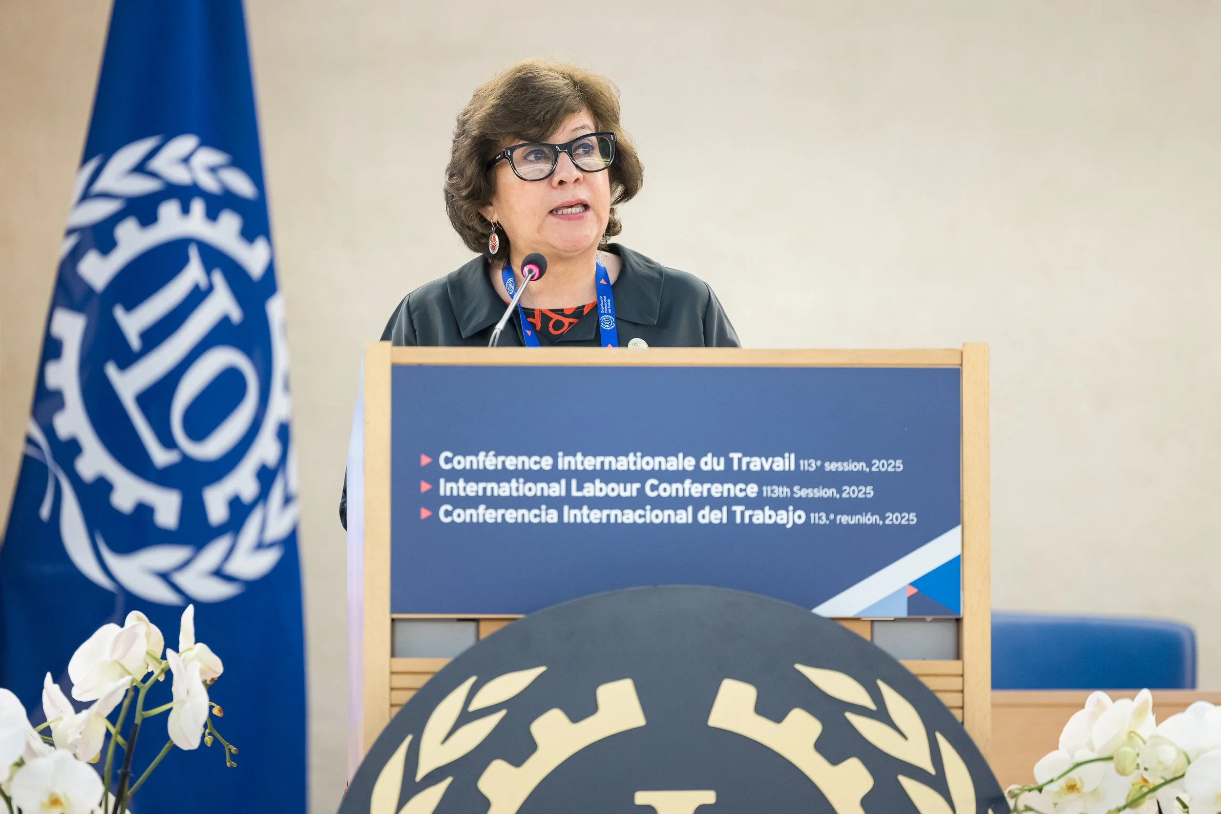 113th-international-labour-conference_54570105504_o.jpeg