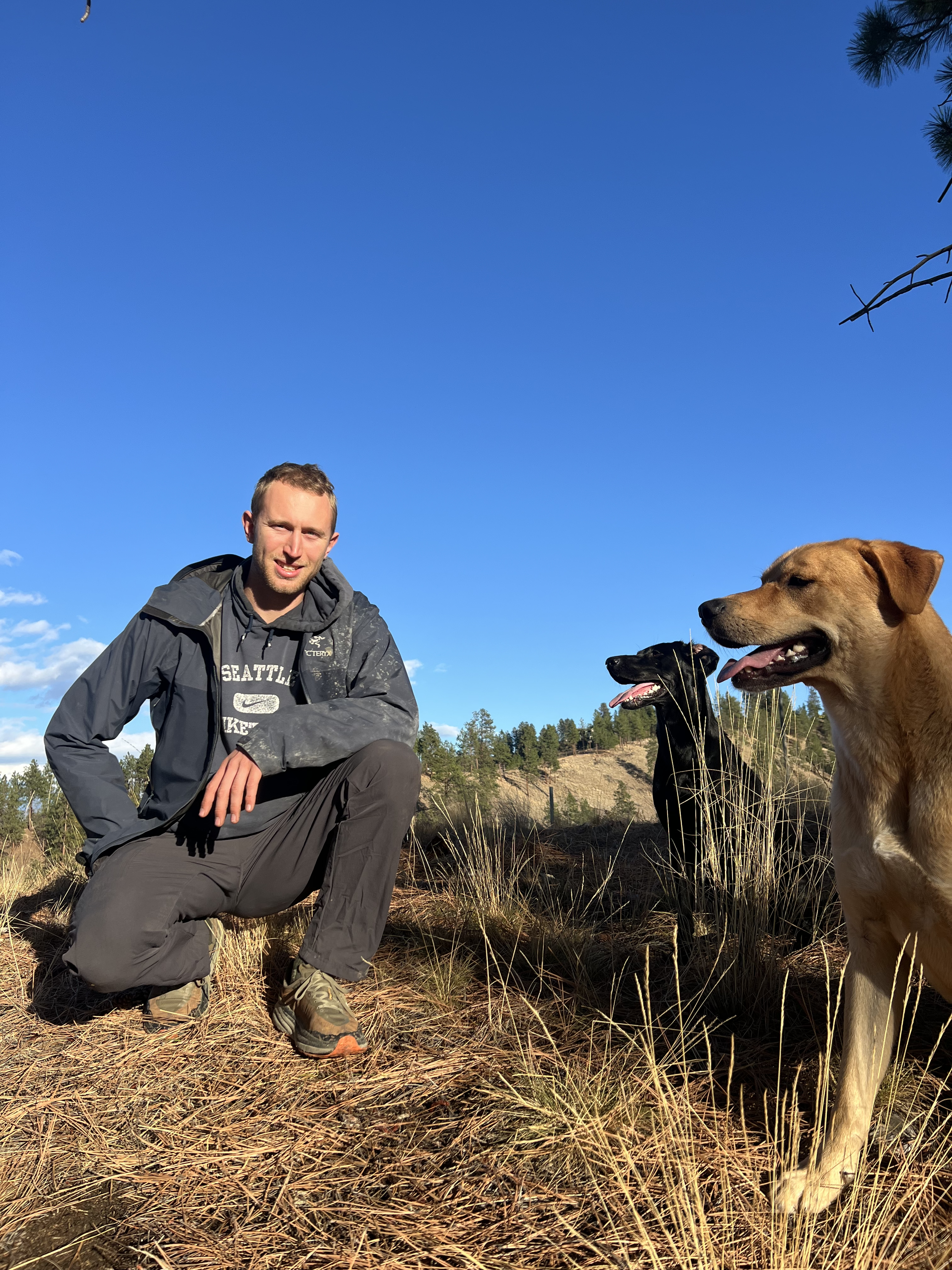 Man crouching outdoors on a grassy hill with two dogs during a sunny day with a clear blue sky.