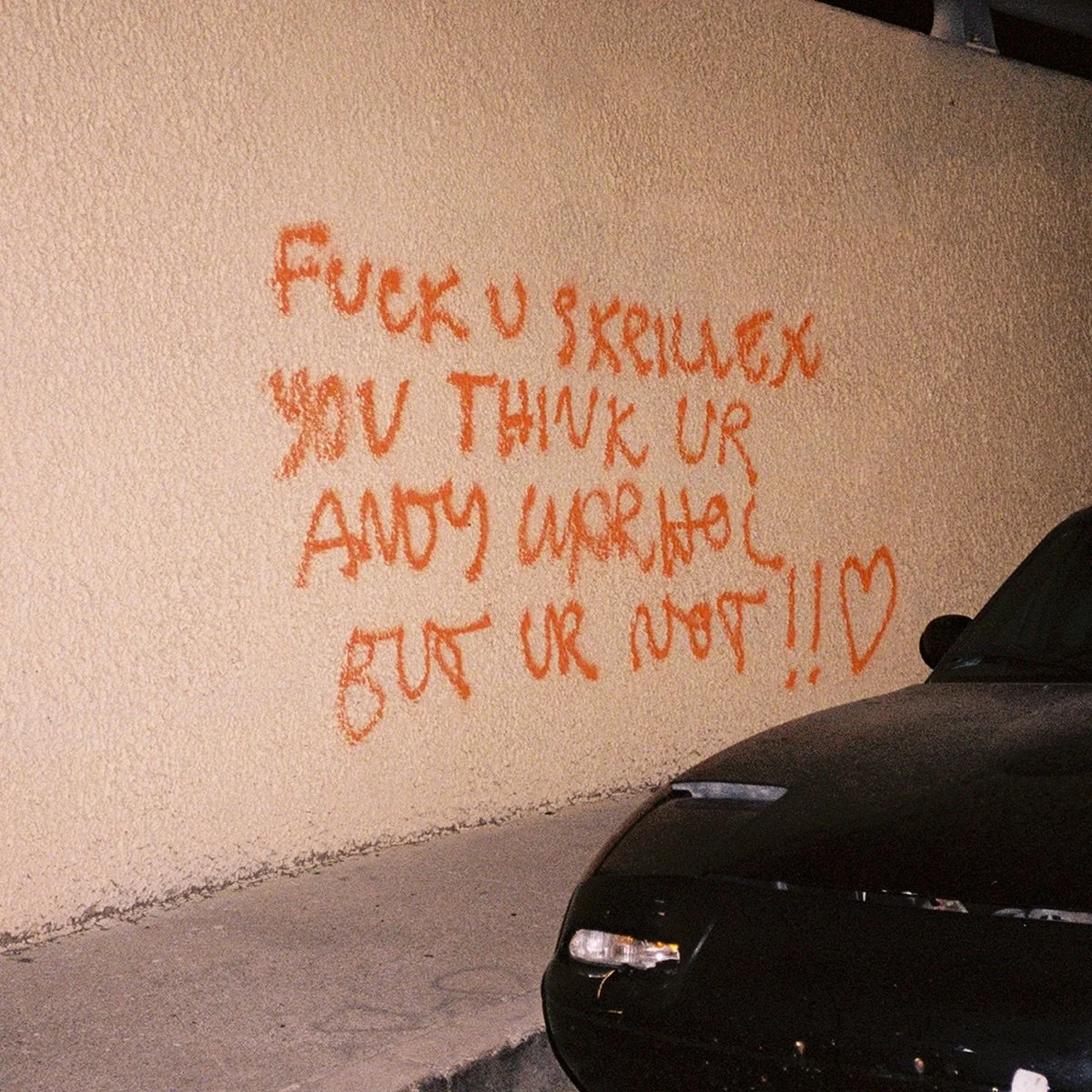76. Skrillex — F*CK U SKRILLEX YOU THINK UR ANDY WARHOL BUT UR NOT!! <3