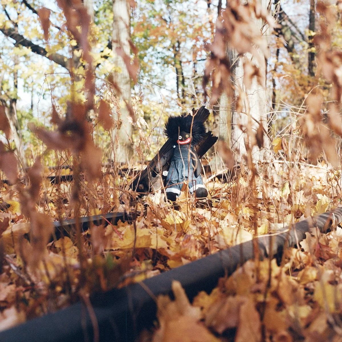 69. billy woods — GOLLIWOG