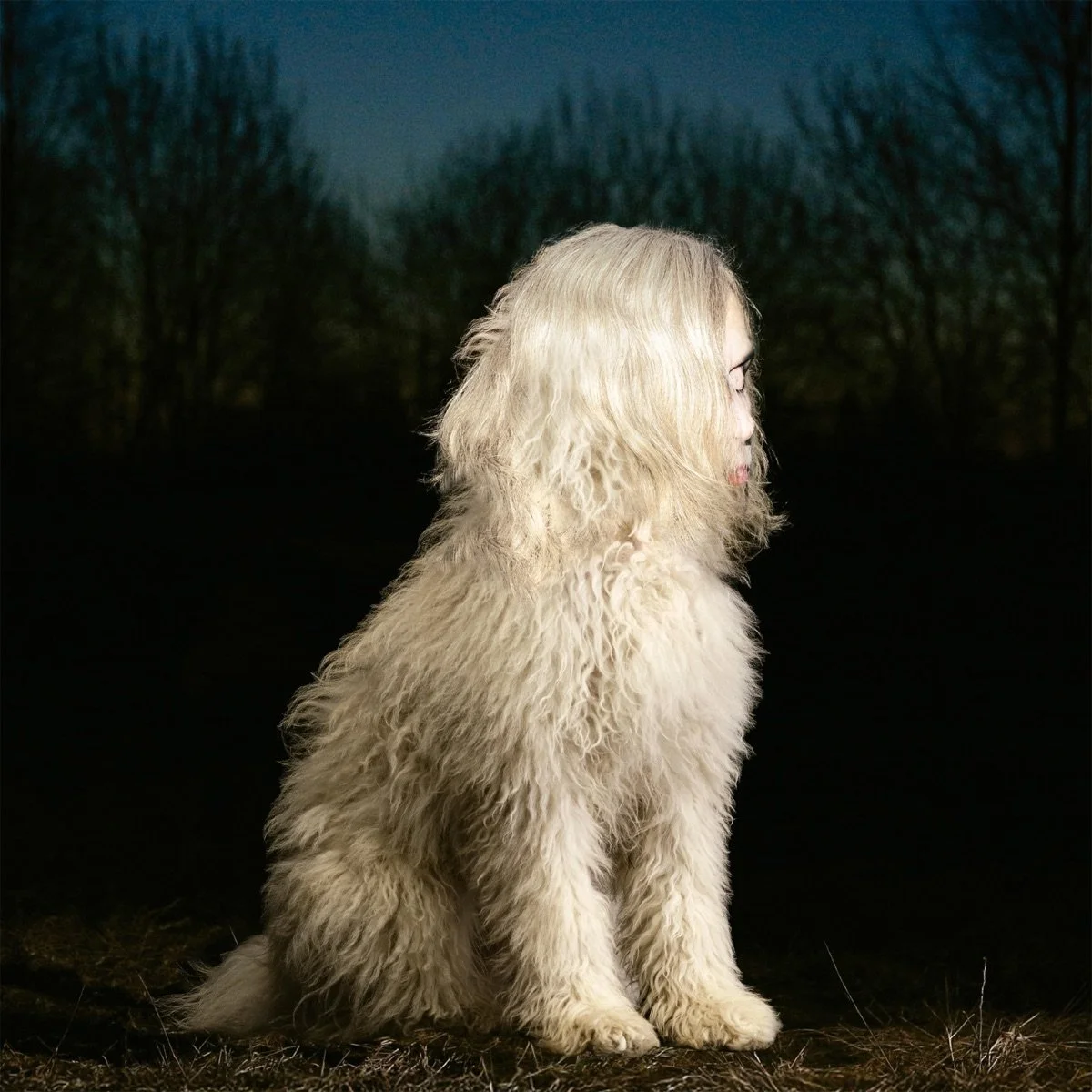 51. Juana Molina — DOGA