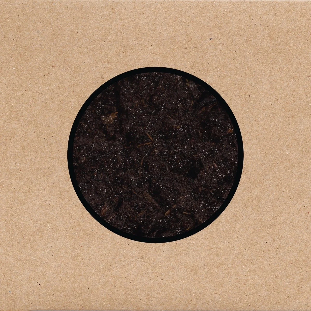 33. Swans — Birthing