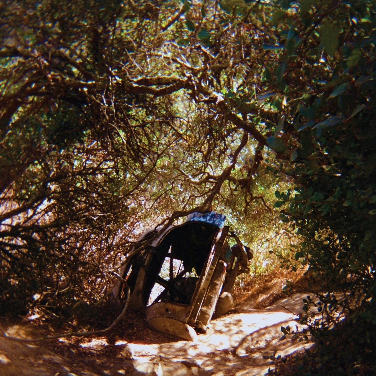 20. Ty Segall — Possession