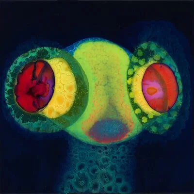 70. Thee Oh Sees — SORCS 80 (4 pts)