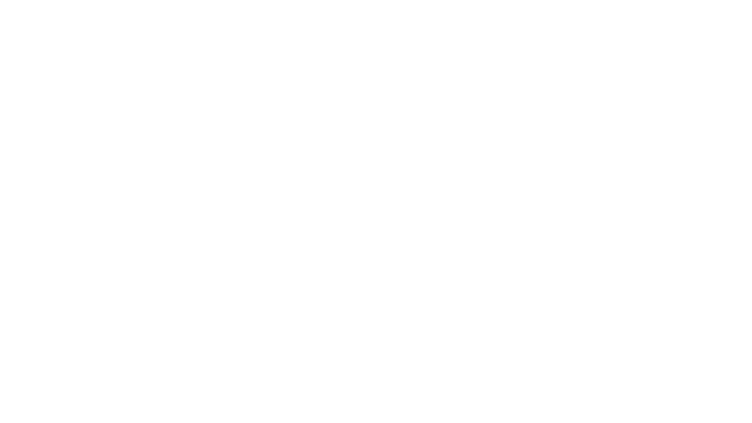 Zenith Mull Consulting