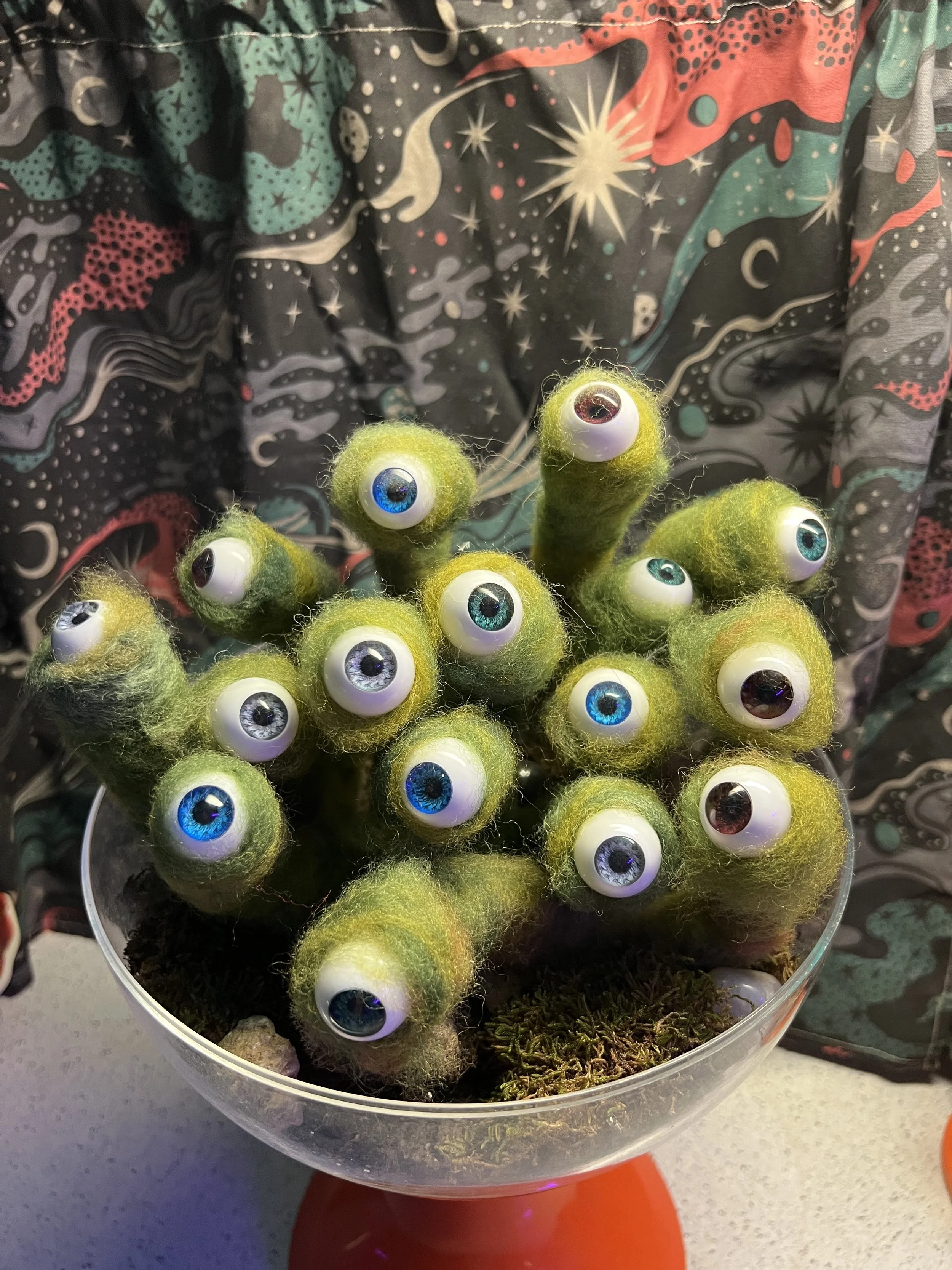 eye lichen kitchen.jpg