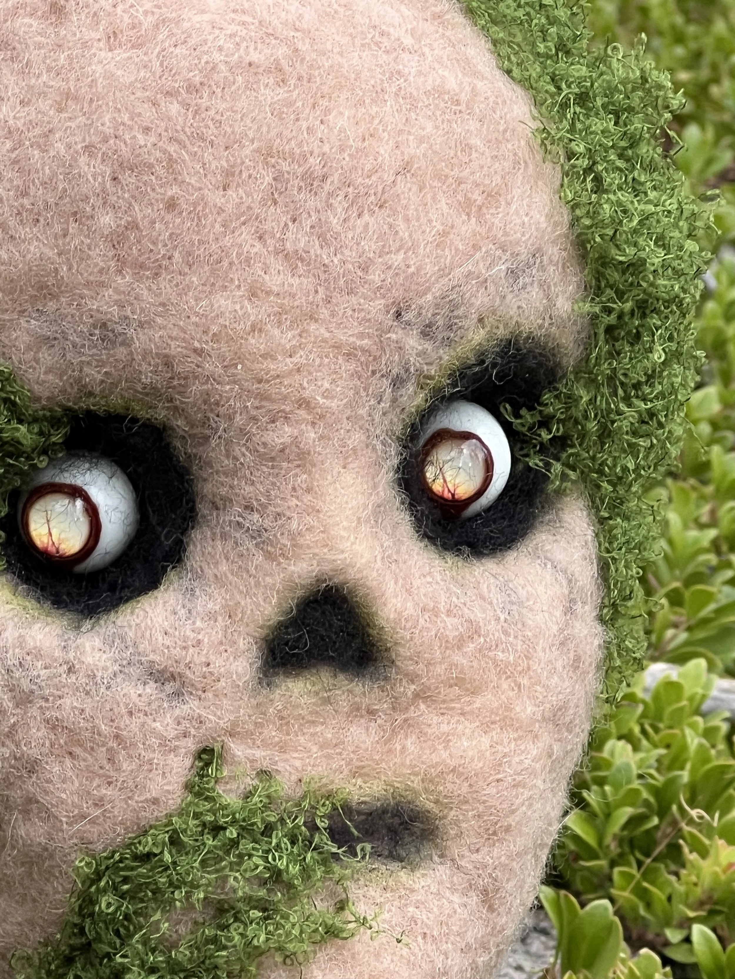 There's something strange growing in the garden