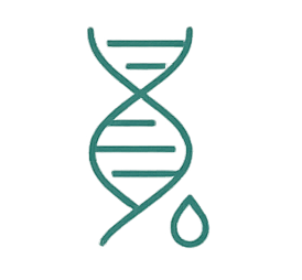 Illustration of a DNA double helix with a drop shape at the bottom.
