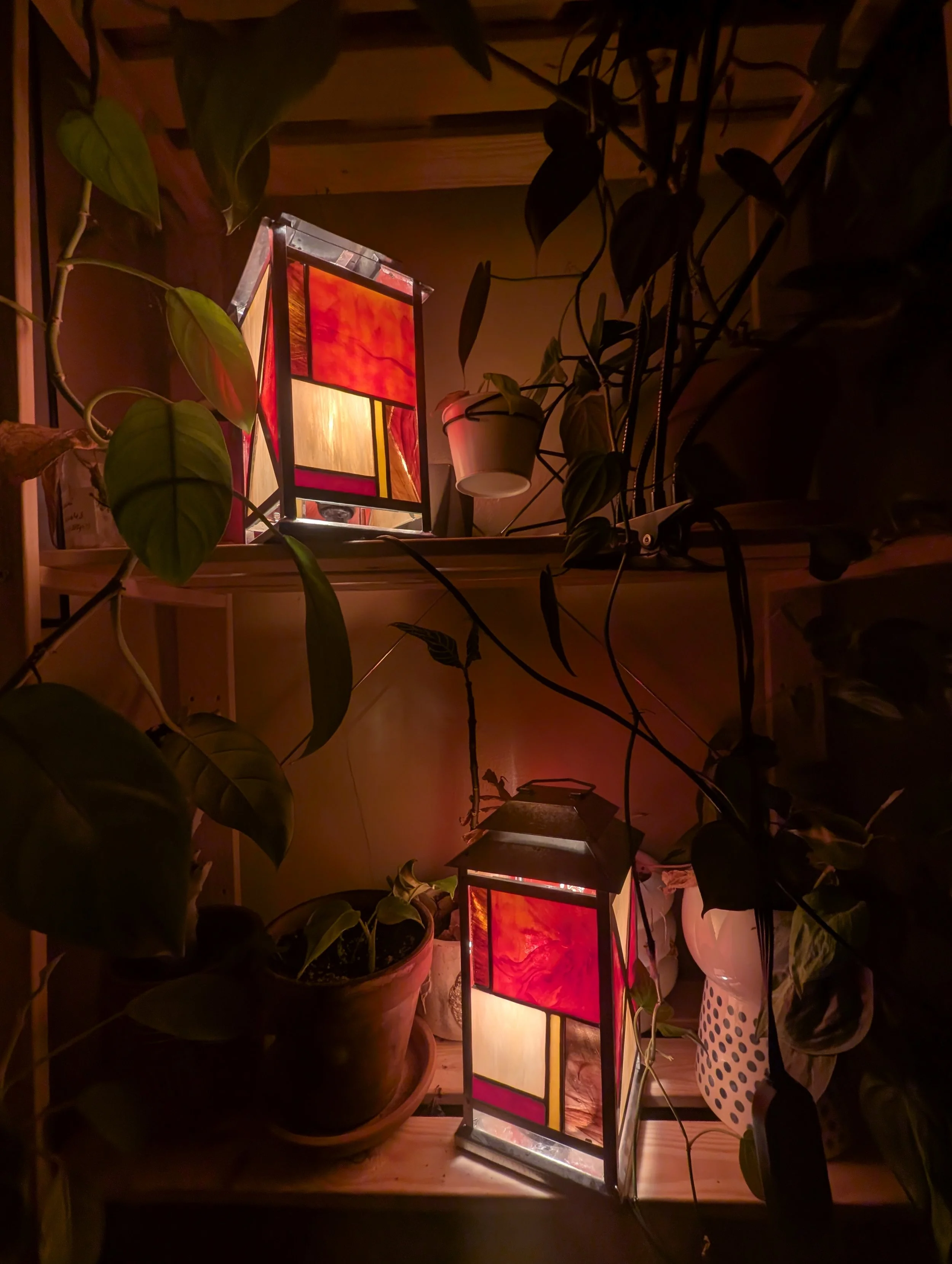 A dimly lit scene with two stained glass lanterns in red, yellow, and orange, surrounded by potted plants on wooden shelves.