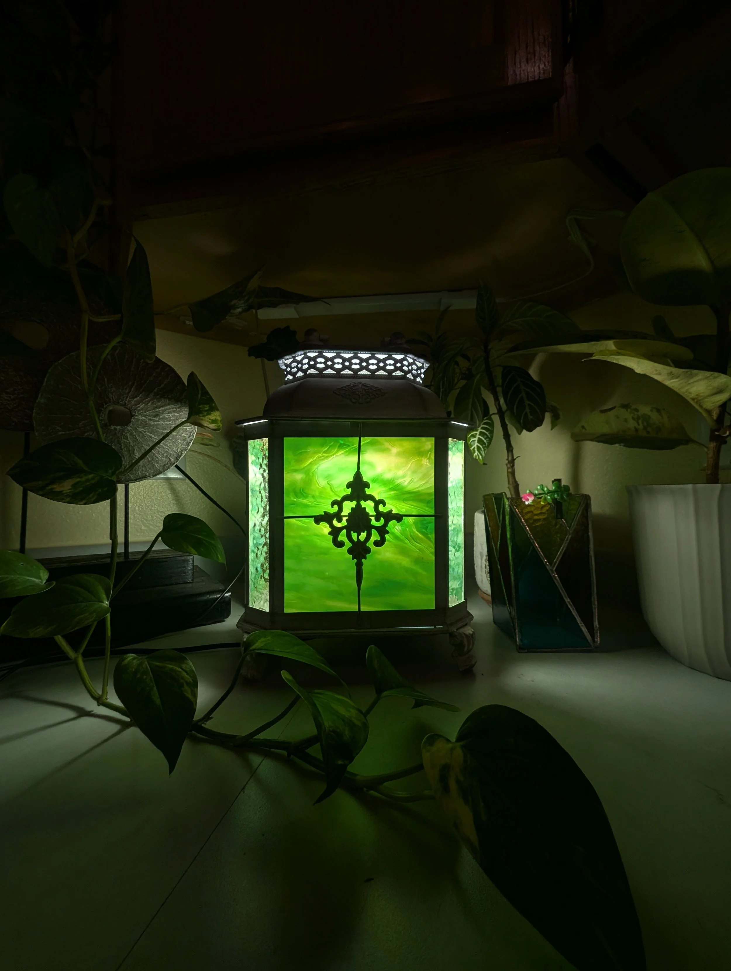 A small decorative lamp with green and yellow swirling glass panels, surrounded by potted plants on a table or shelf.
