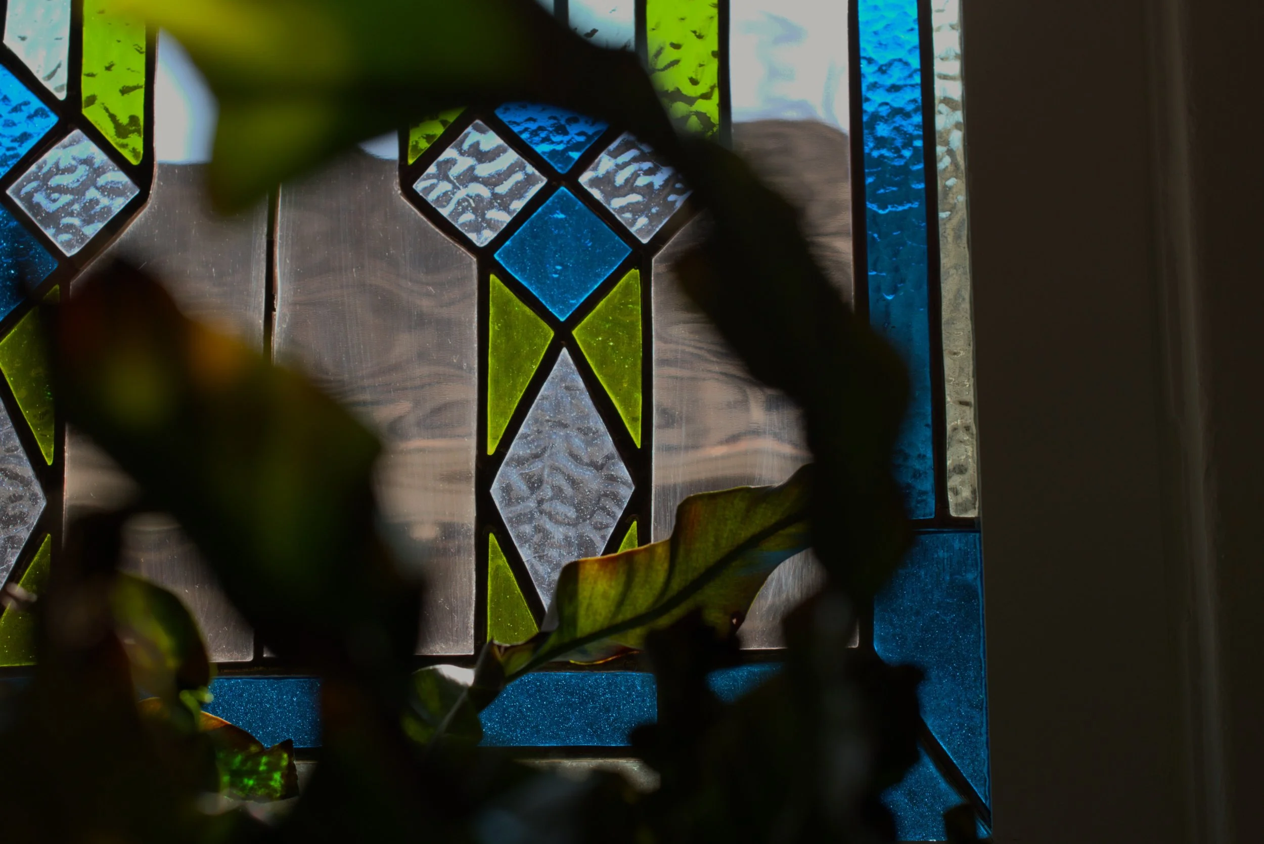 Close-up of a stained glass window with geometric patterns in blue, green, and clear glass, with some plant leaves in front.