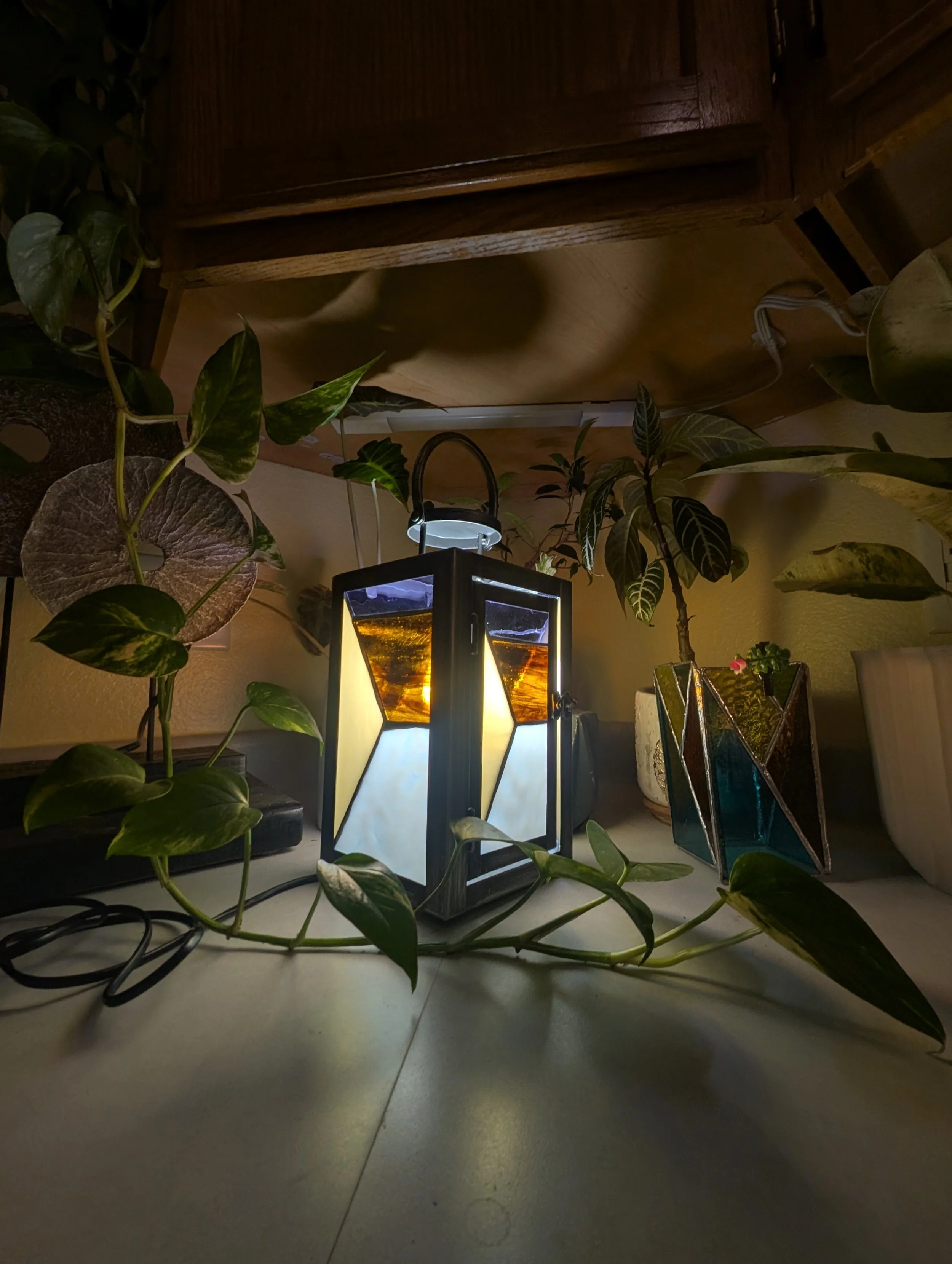A decorative lantern with colored glass panels emitting a warm glow, surrounded by various green houseplants on a table under a wooden ceiling.